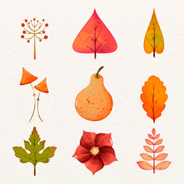 Free Vector watercolor elements collection for autumn celebration