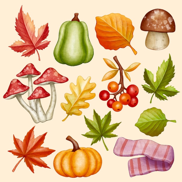 Watercolor elements collection for autumn celebration