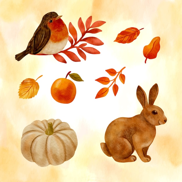 Free vector watercolor elements collection for autumn