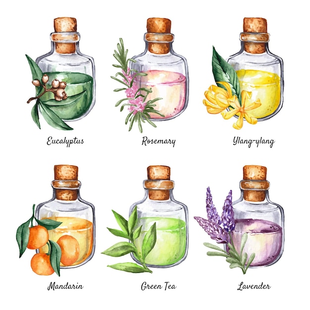 Watercolor essential oil bottle collection