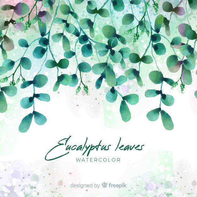 Watercolor eucalyptus leaves background