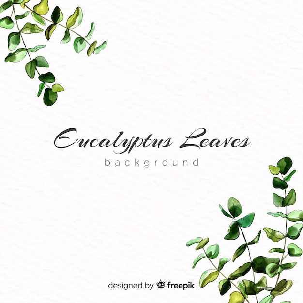 Watercolor eucalyptus leaves background