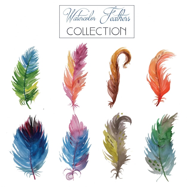 Free Vector watercolor feather collection