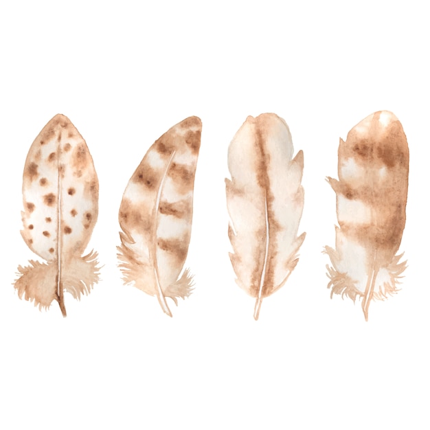 Watercolor feather set isolated on white. Boho style. 