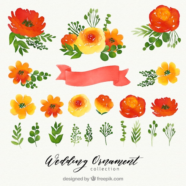 Free vector watercolor floral wedding ornament collection