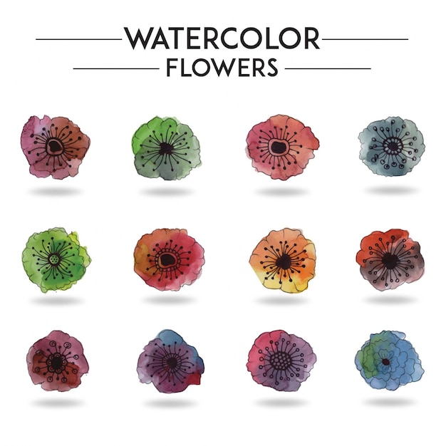 Free vector watercolor flower collection