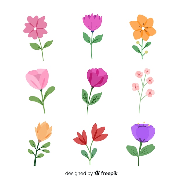 Watercolor flower collection