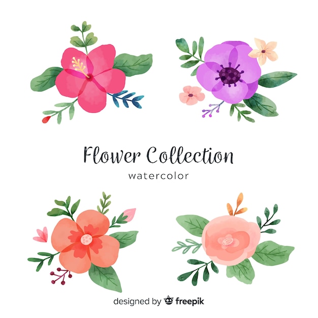 Watercolor flower collection