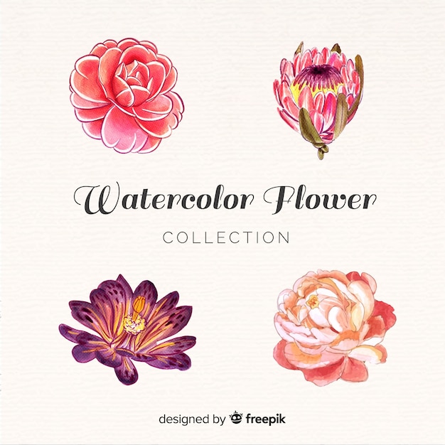 Free Vector watercolor flower collection