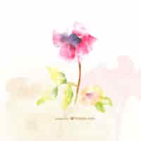 Free vector watercolor flower