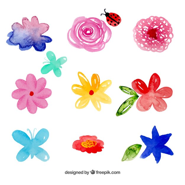 watercolor flowers collection