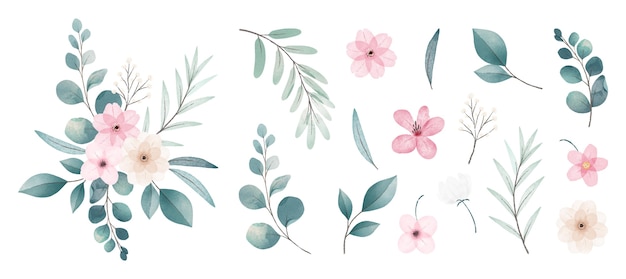 Watercolor flowers collection