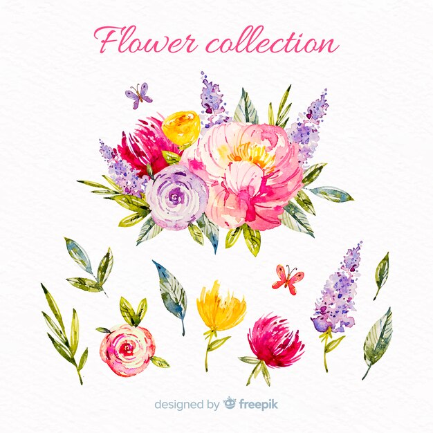 Watercolor flowers and leaves collection