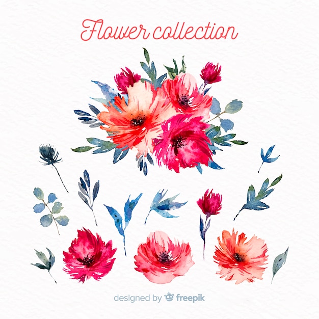 Free Vector watercolor flowers and leaves collection