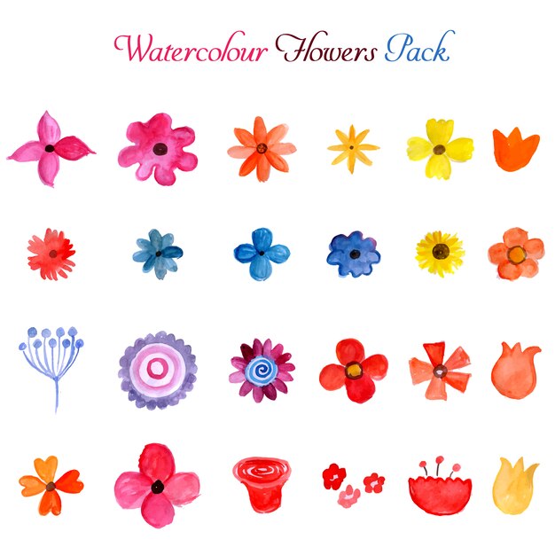 Watercolor flowers pack