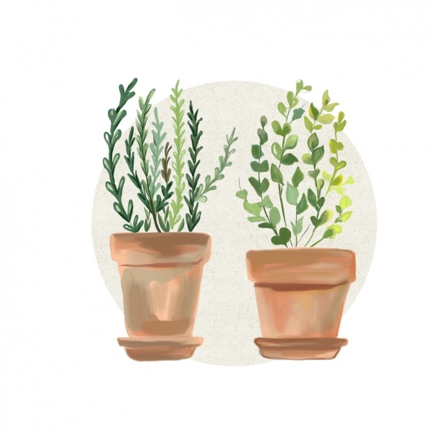 Watercolor flowers pots design