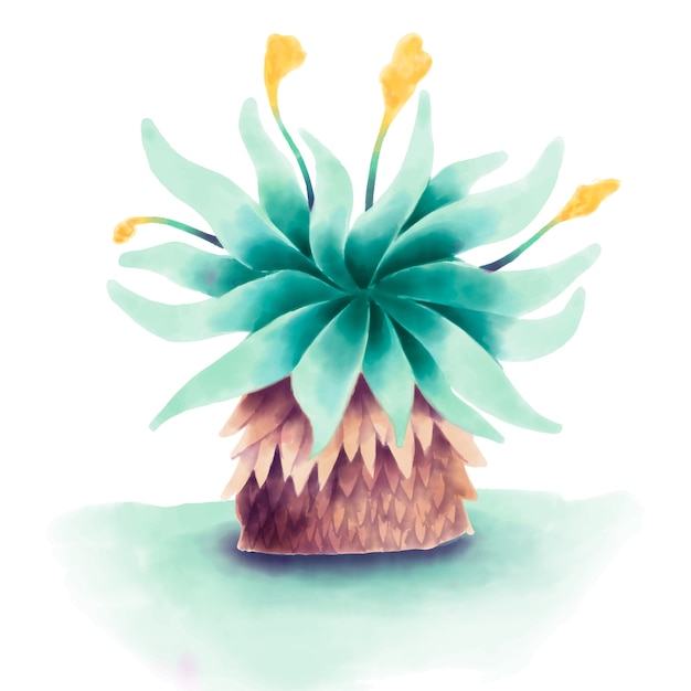 Free vector watercolor frailejon plant illustration