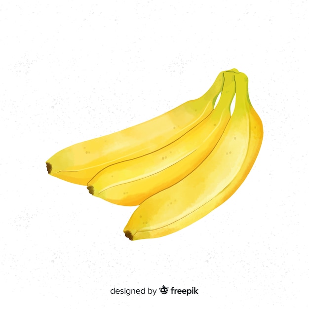 Free Vector watercolor fruit background with bananas