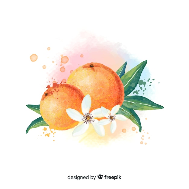 Free Vector watercolor fruit background with oranges