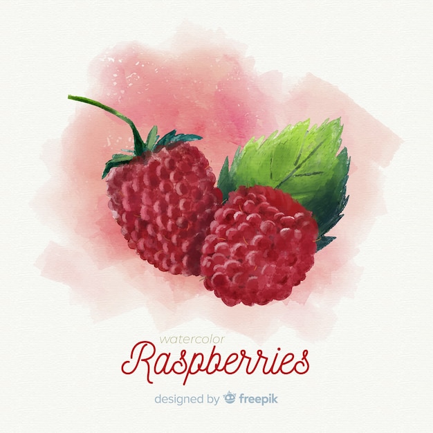 Free Vector watercolor fruit background with raspberries