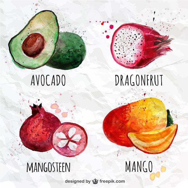 Free vector watercolor fruits collection