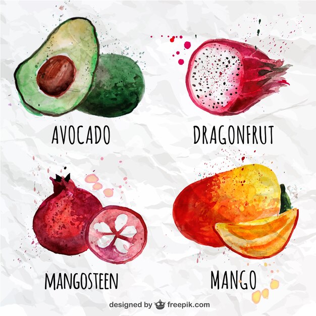 Watercolor fruits collection