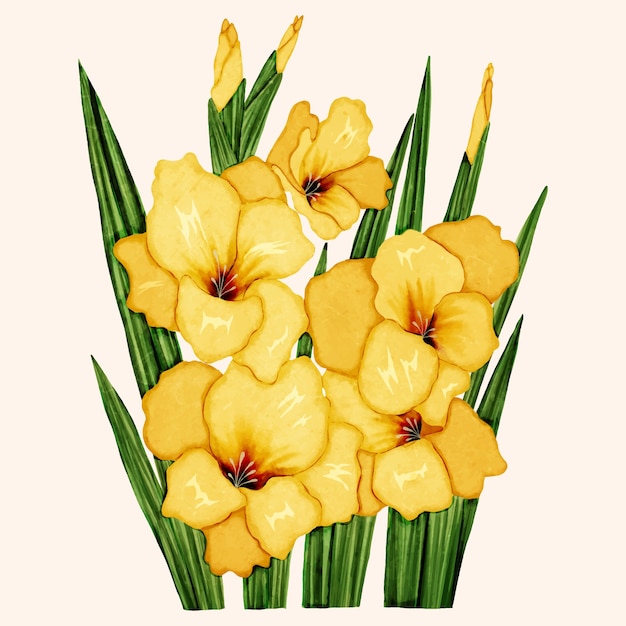 Free vector watercolor gladiolus illustration