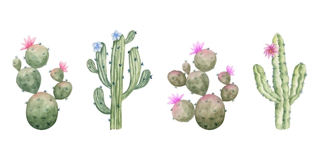 Watercolor green cactus set