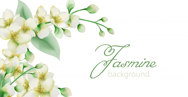 Watercolor green jasmine flowers banner with place for text