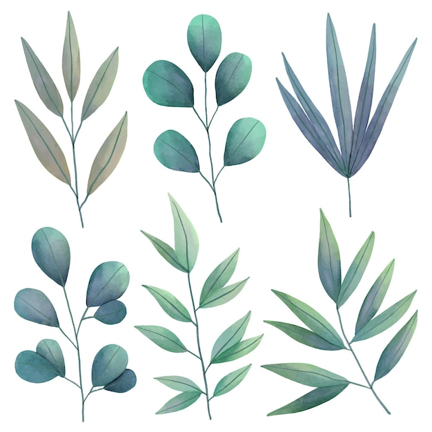 Watercolor green leaves collection