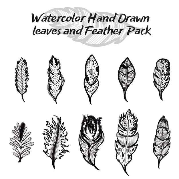 Free Vector watercolor hand drawn feather pack