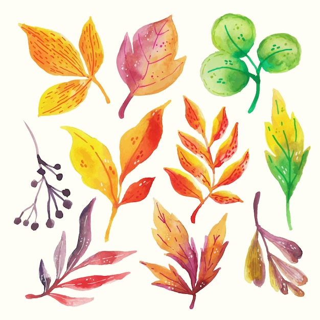 Free Vector watercolor hand painted leaves set