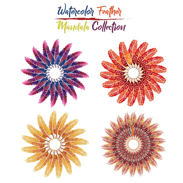 Free Vector  watercolor handmade feather collection