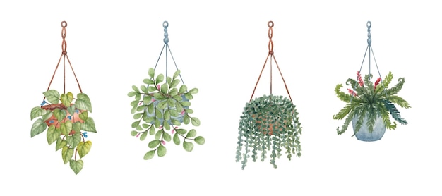 Free Vector watercolor hanging indoor plants set