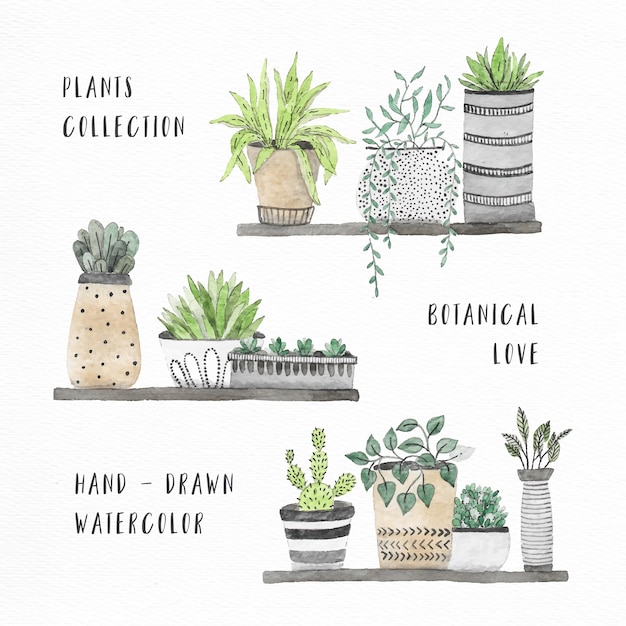 Watercolor house plants collection