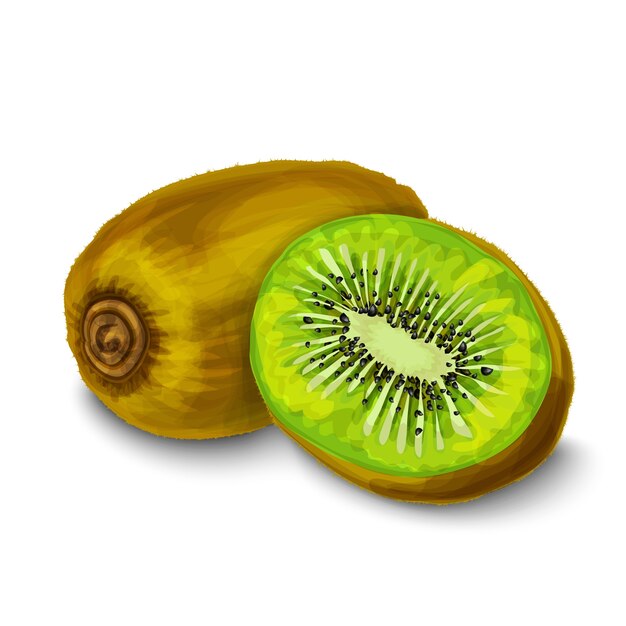 Watercolor kiwi