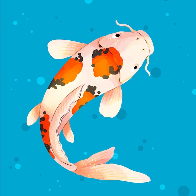 Watercolor koi illustration