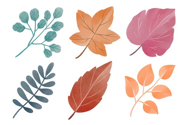 Watercolor leaves collection