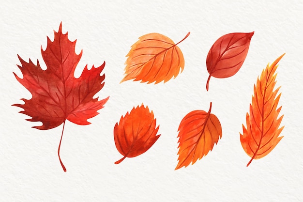 Free vector watercolor leaves collection