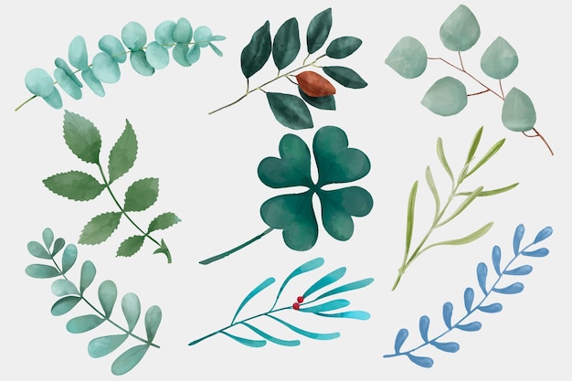 Watercolor leaves drawing clipart set