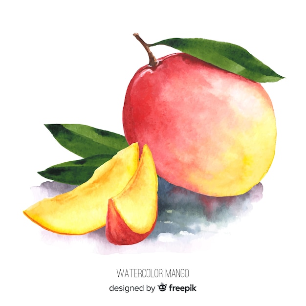 Free Vector watercolor mango illustration