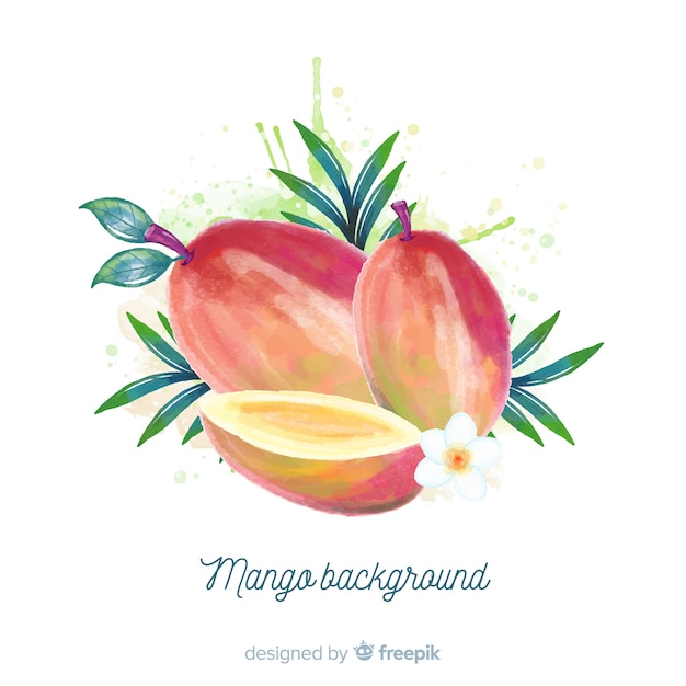 Free Vector watercolor mango illustration