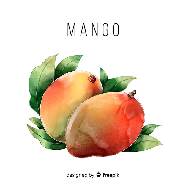 Free Vector watercolor mango