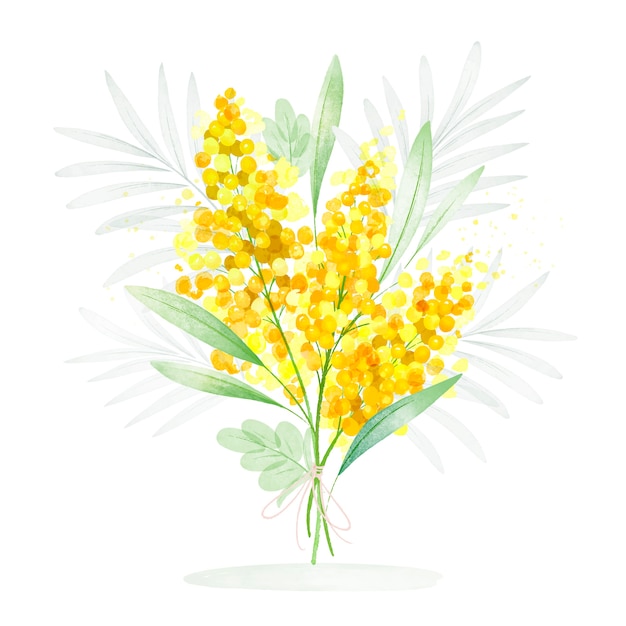 Free Vector watercolor mimosa illustration