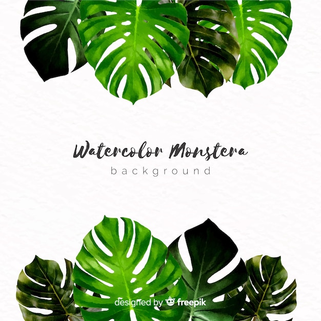 Watercolor monstera leaves background