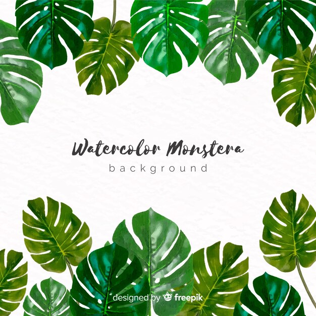 Watercolor monstera leaves background