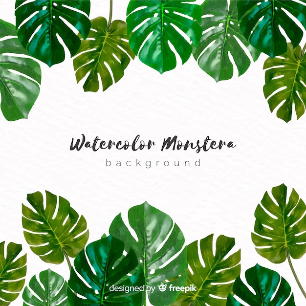 Watercolor monstera leaves background