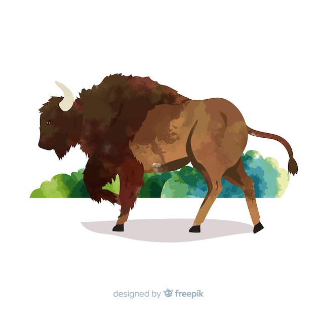 Free vector watercolor paint with wildlife buffalo