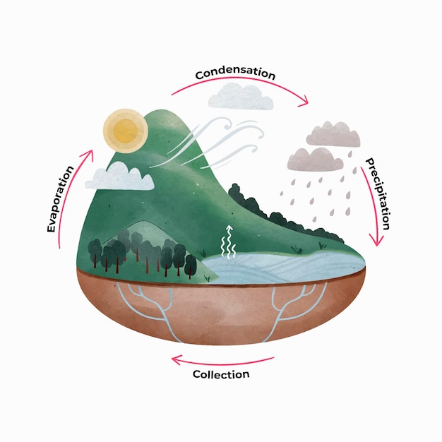 Free Vector watercolor painted water cycle