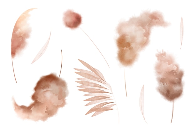 Free Vector watercolor pampas illustration set